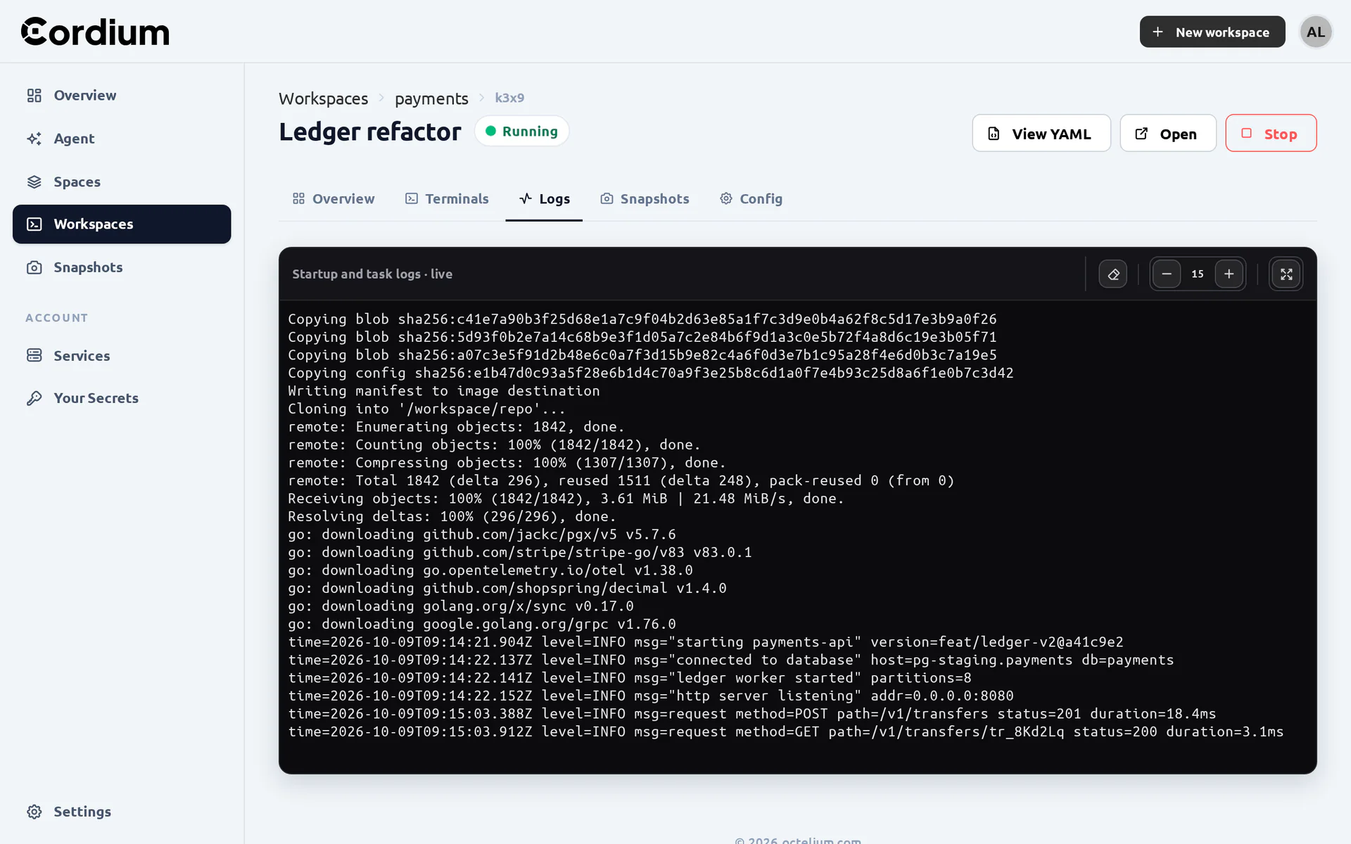 The startup and task logs of a Workspace